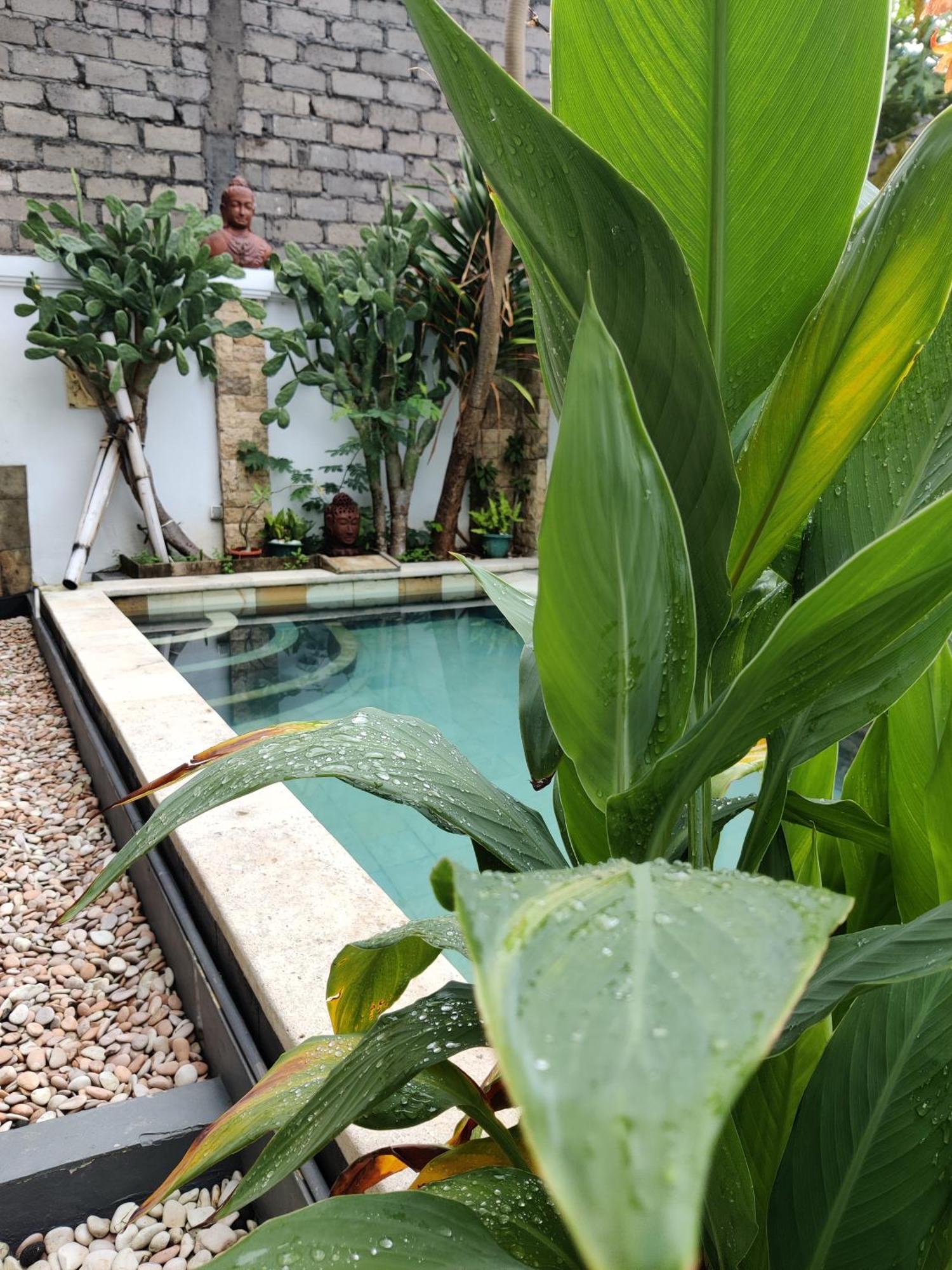 Hills House Villa By Sunnyrent - Jimbaran X Balangan X Gwk Exterior foto